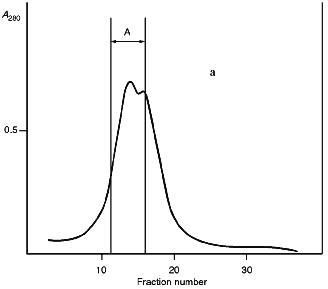 Figure 2a